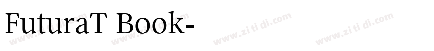 FuturaT Book字体转换